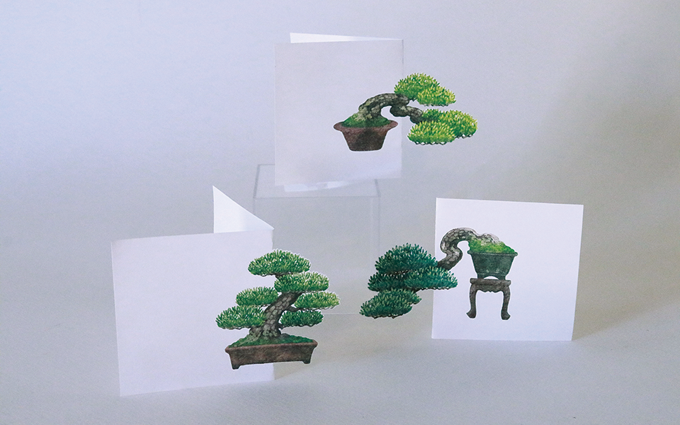 株式会社tao.：懸崖、半懸崖、模様木（盆栽の樹形）の全３種類